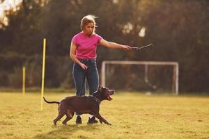 Playing with wooden stick. Woman in casual clothes is with pit bull outdoors photo