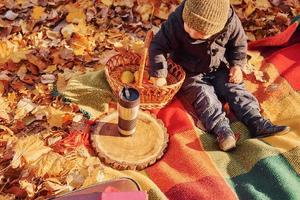 Little boy is sitting on the ground in the autumn forest photo