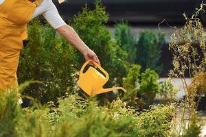 Senior woman in yellow colored uniform is in the garden at daytime watering plants photo