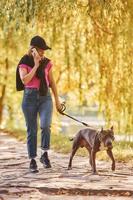 Yellow leaves at background. Woman in casual clothes is with pit bull outdoors photo