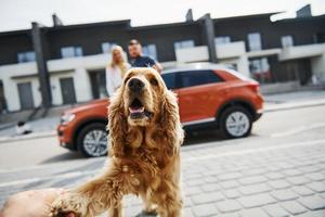 Portrait of cute pet. Lovely couple have a walk together with dog outdoors near the car photo