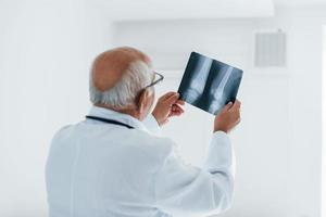 Senior man doctor in white uniform examines x-ray of human legs photo