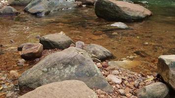 agua corriendo río abajo cerca de una cascada llena de rocas en la naturaleza video