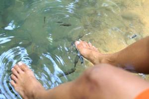 bañar los pies en la cascada para que los peces coman es un tratamiento de spa natural. en la cascada, miles de peces disfrutan de los pies de la joven. foto