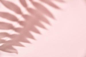 Leaf shadow on pink background. Creative abstract background photo