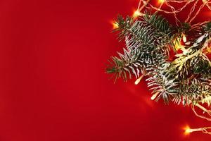 Christmas composition with christmas tree branch aon red background. Copy space photo