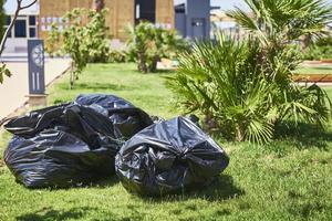 bolsas de plástico negras con basura en el césped foto