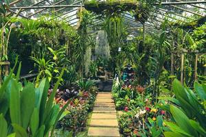 A pathway or walkway in a very lush garden with various plants. photo