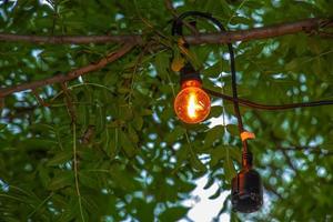 A burning light bulb hangs on a tree in the garden. Festive garden decoration. photo