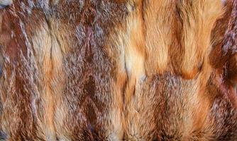 Fox fur close up. Redhead animal fur background, fur pile texture. photo