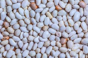 Background from white haricot bean beans. Texture from raw bean seeds. Healthy food concept. photo