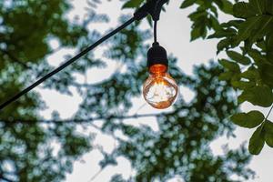 A burning light bulb hangs on a tree in the garden. Festive garden decoration. photo