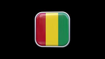 3d Guinea Flag Square Icon Animation Transparent Background Free Video