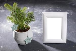 Alternative Xmas tree in white flowerpot and empty white frame for photo on textured black.