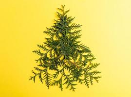 árbol de navidad hecho de ramas verdes de arborvitae dispuestas en el centro de un fondo amarillo brillante. foto