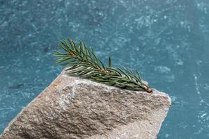 One fir twig is lying on grey stone on turquoise textured background. Christmas or New Year creative background. photo