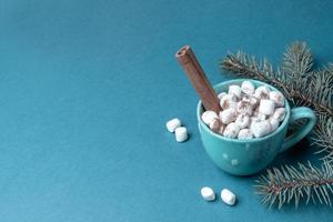 Cup of coffee or cocoa with marshmallows, cinnamon and fir branches on turquoise close up. Xmas background. Copy space. photo