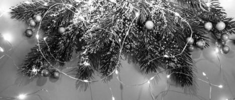 Black and white Xmas festive banner with fir branches, snow, berries, luminous Christmas lights. Top view. photo