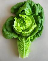 Fresh Green Lettuce Vegetable Closeup photo