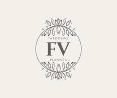 colección de logotipos de monogramas de boda con letras iniciales fv, plantillas florales y minimalistas modernas dibujadas a mano para tarjetas de invitación, guardar la fecha, identidad elegante para restaurante, boutique, café en vector