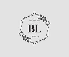 Initial BL feminine logo. Usable for Nature, Salon, Spa, Cosmetic and Beauty Logos. Flat Vector Logo Design Template Element.