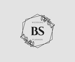 Initial BS feminine logo. Usable for Nature, Salon, Spa, Cosmetic and Beauty Logos. Flat Vector Logo Design Template Element.