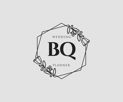 Initial BQ feminine logo. Usable for Nature, Salon, Spa, Cosmetic and Beauty Logos. Flat Vector Logo Design Template Element.