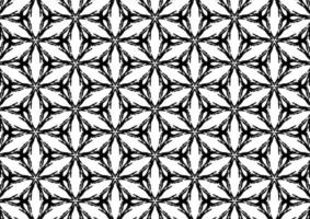 Black and white floral pattern for coloring, background, fabric pattern. photo