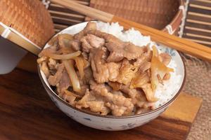 Grilled pork with Japanese sauce and onions photo