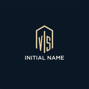 VS initial monogram logo with hexagonal shape style, real estate logo design ideas inspiration vector