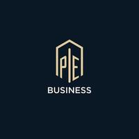 PE initial monogram logo with hexagonal shape style, real estate logo design ideas inspiration vector