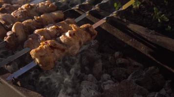 cocinar carne sobre brasas. humo de la barbacoa. carne de cerdo, barbacoa en la naturaleza video