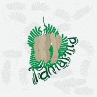 Tamarind with tamarind leaves and hand drawn of tamarind design for vegan template design vector