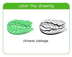 Coloring book for children. Chinese cabbage in color and black and white. vector
