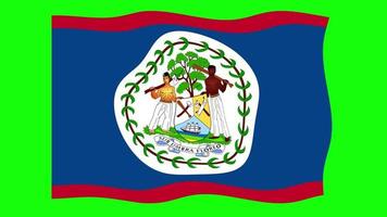 Belize Waving Flag 2D Animation on Green Screen Background. Looping seamless animation. Motion Graphic video