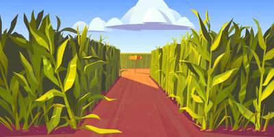 Road on cornfield with fork and direction sign vector