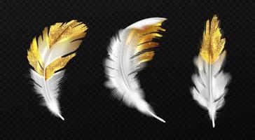 White feathers with gold glitter on edges, plumage vector
