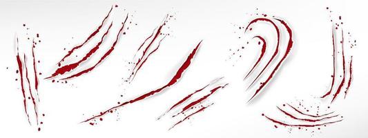 Cat claw scratches with blood drops vector