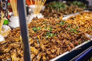 Close up fried grasshopper on street food of Thailand. photo