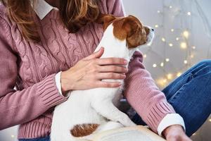 Woman hold dog and reading book. Relaxing together with a pet photo