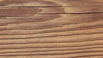 Wood texture seamless loop. Wooden board background. Macro closeup. video