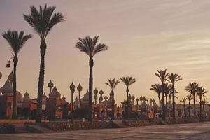 Silhouettes of palm trees and architecture with a mosques at sunset photo