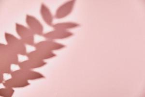 Leaf shadow on pink background. Creative abstract background photo