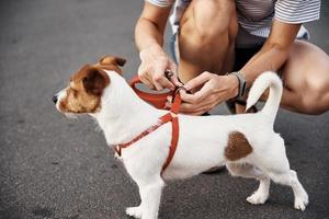 Owner attaches leash to the dog on the walk photo