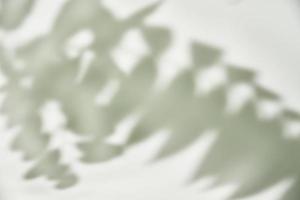 Leaf shadow on white background. Creative abstract background photo