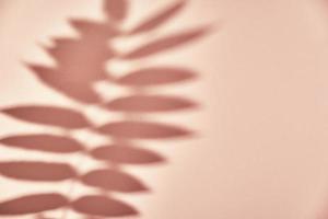 Leaf shadow on pink background. Creative abstract background photo