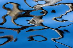 Reflection in Water on a Blue Background photo