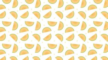 Melon pattern background. melon on white background. wallpaper. symbol. logo design. vector