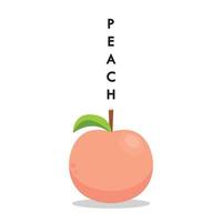 Peach vector icons set. Realistic illustration