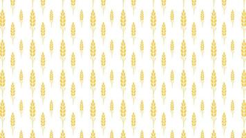 Wheat pattern wallpaper. oat symbol. free space for text. rice sign. Rice pattern wallpaper. vector